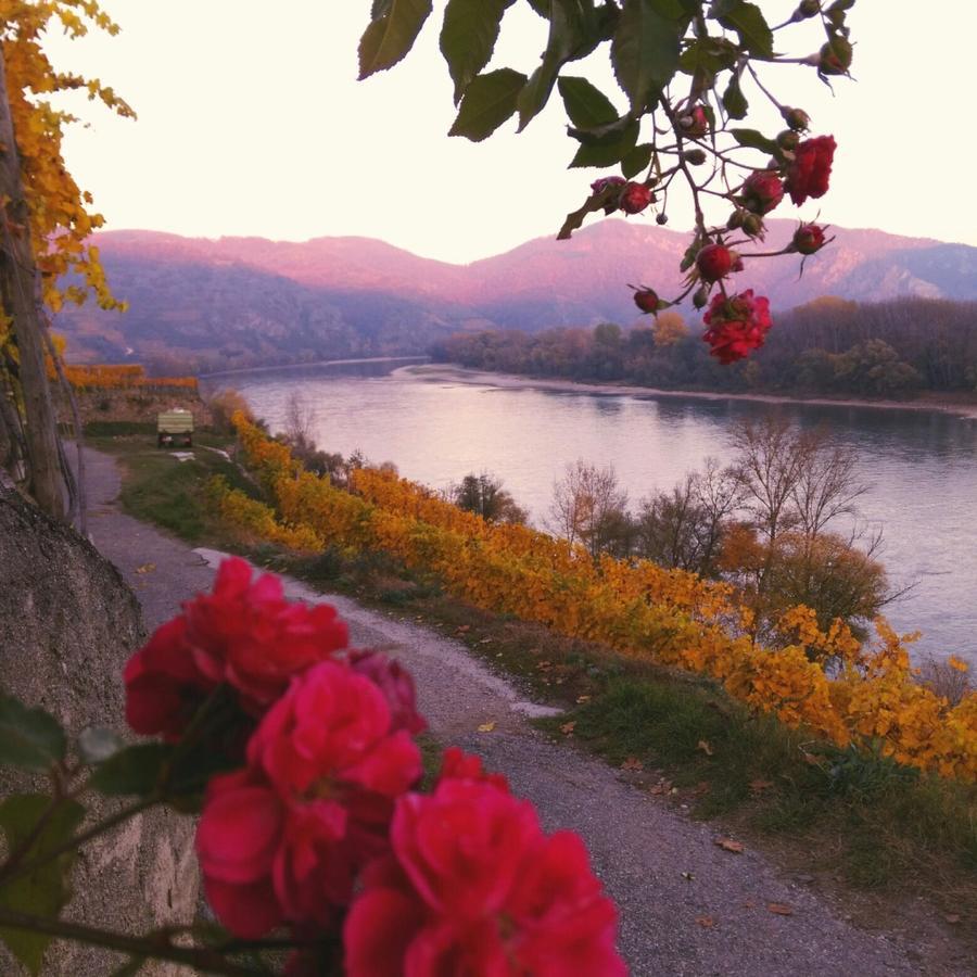 Gaestehaus Haiminger Ehemalig Schmelz Weissenkirchen in der Wachau Dış mekan fotoğraf